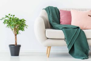 Sofa Savvy: Tips to Extend the Life of Your Beloved Couch